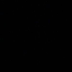 Meet your Posher, Julianna